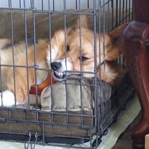 Meet your Posher, Meredith